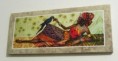 QUADRO NEGRA AFRICANA